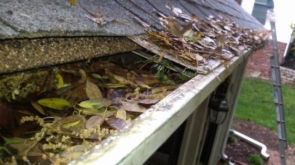Spring Cleaning Maintenance on Your Roof