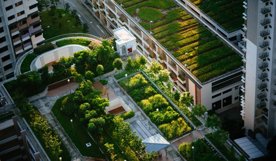 A green roof - one of the many ways to make a commercial roof more eco-friendly.